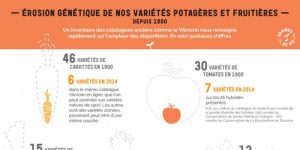 Érosion génétique de nos variétés potagères et fruitières