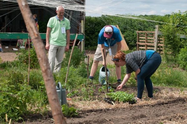 Création d’un Jardin de semences les 8-9 Septembre, 2018  59147 HERRIN